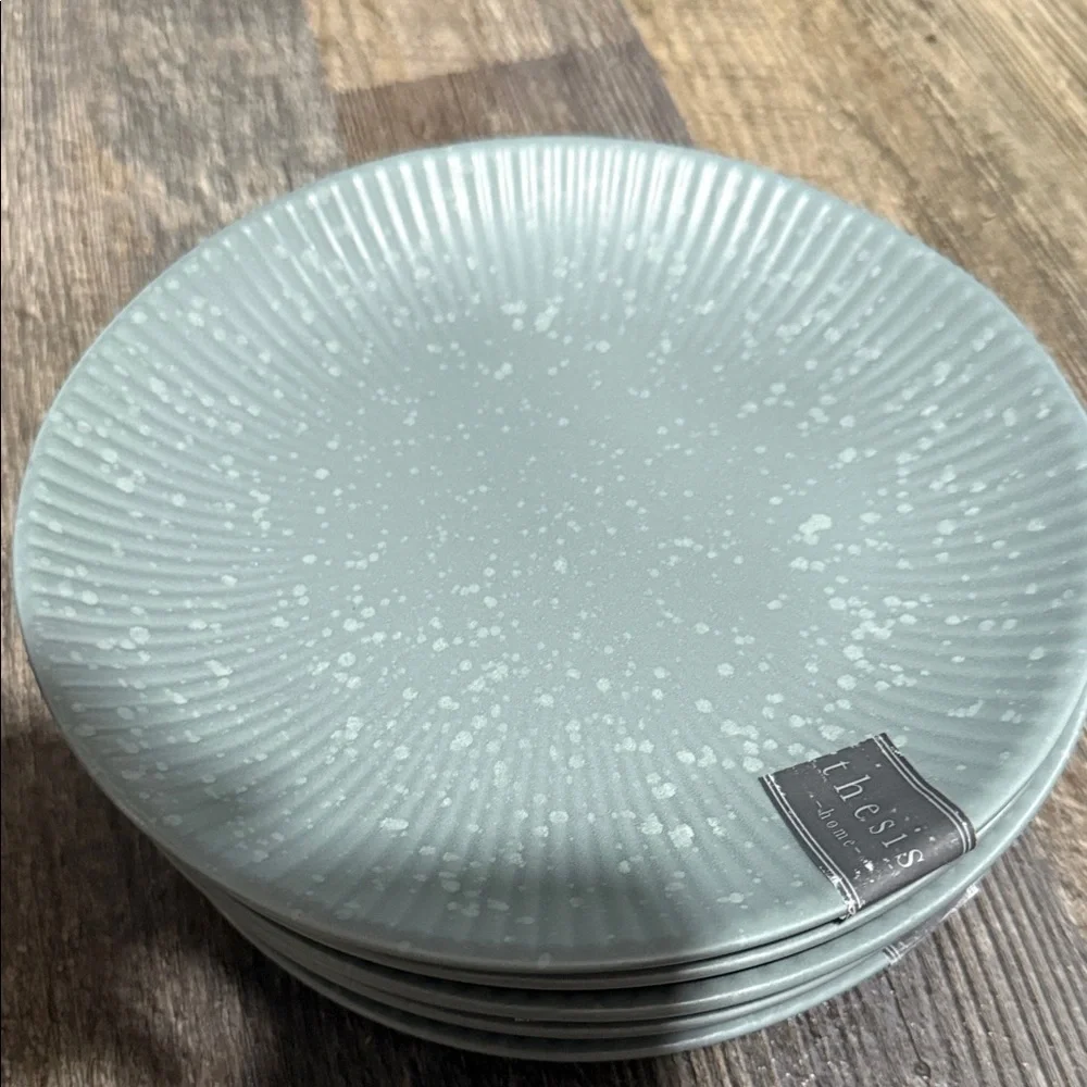 6 Elegant Gray salad Plate Set